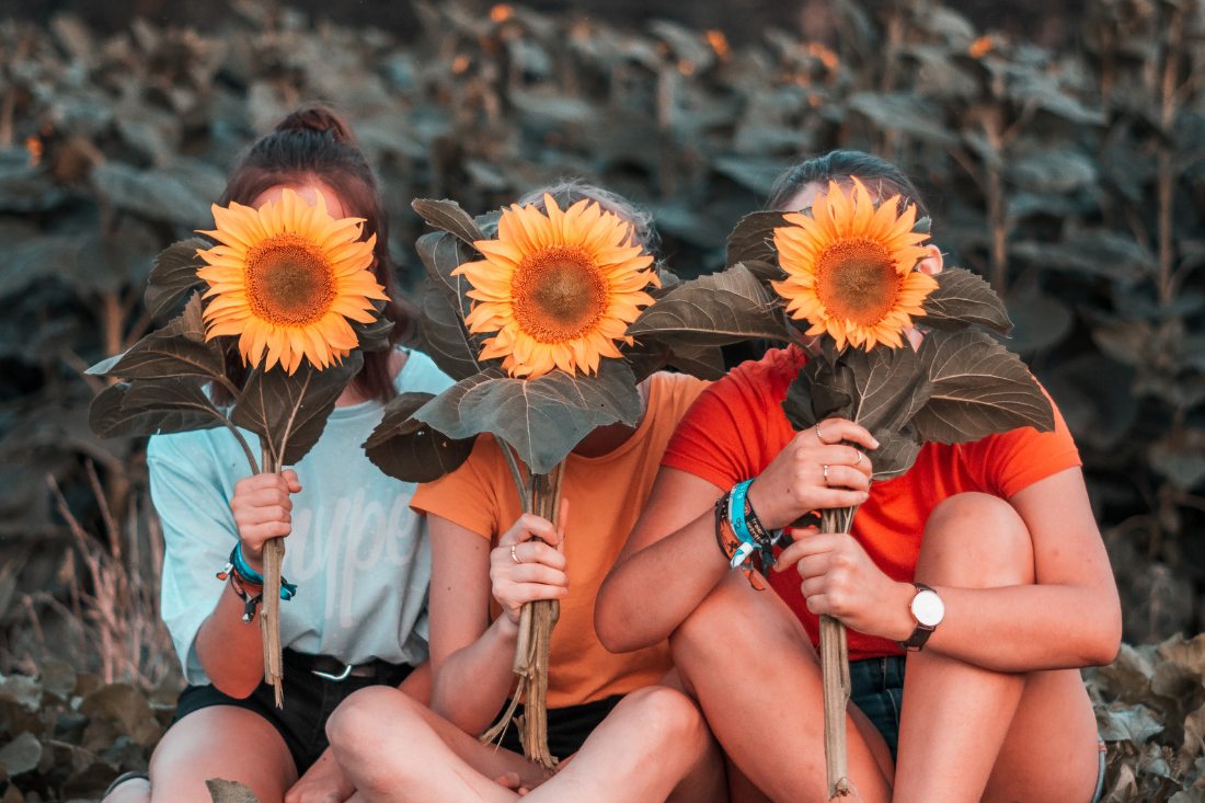 Blog 1100×733 Third Cut 2025